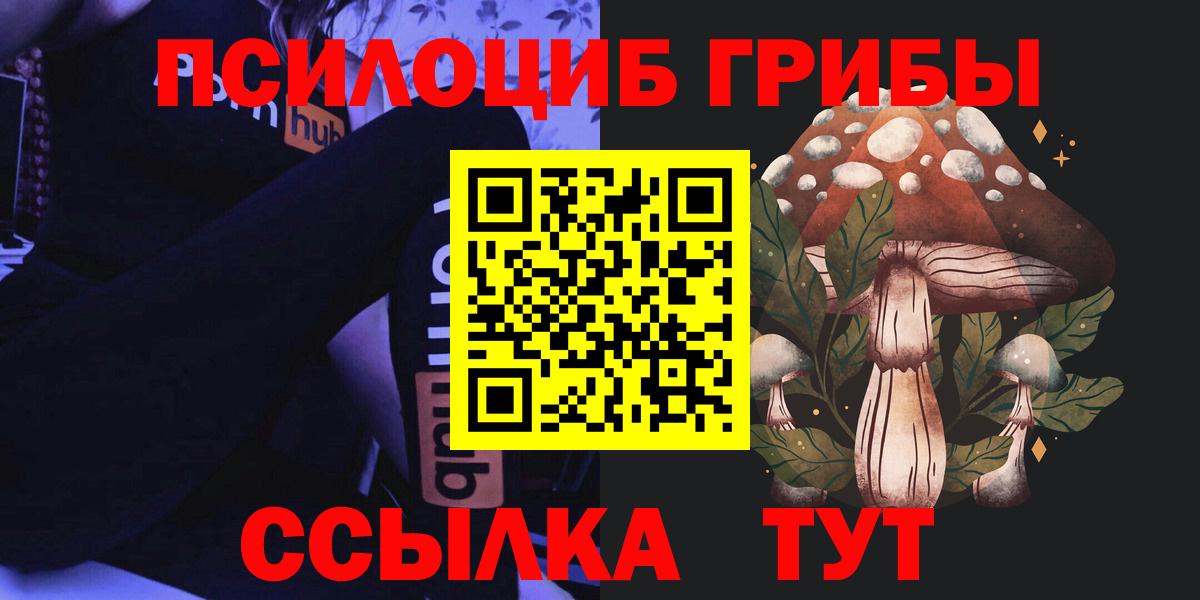 Псилоцибиновые грибы Psilocybe Нурлат